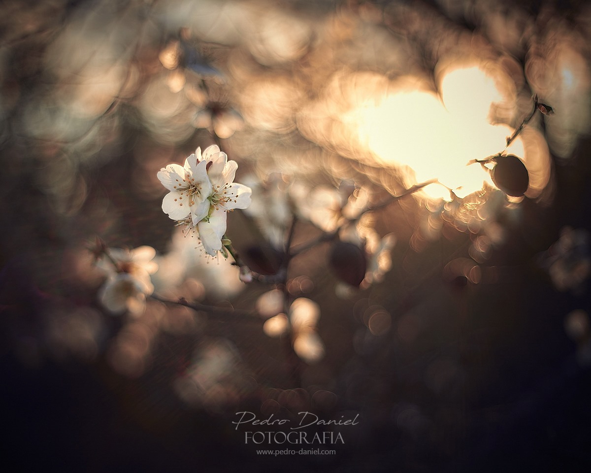 84289203_3407905639281626_1450439932219752448_o